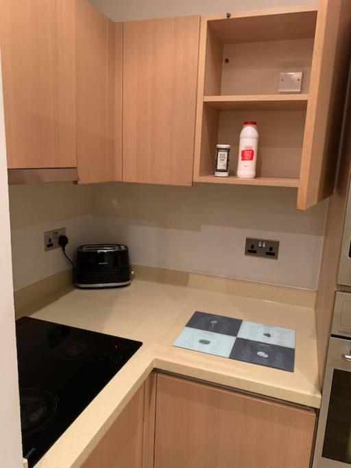 Stunning 2 Bed Flat! Centrally Located In London, Uk! 外观 照片